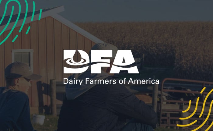 DFA Case Study