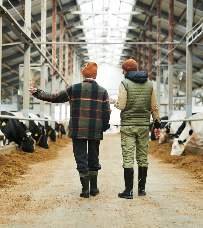 DFA Dairy Brands modernized driver safety training (1)