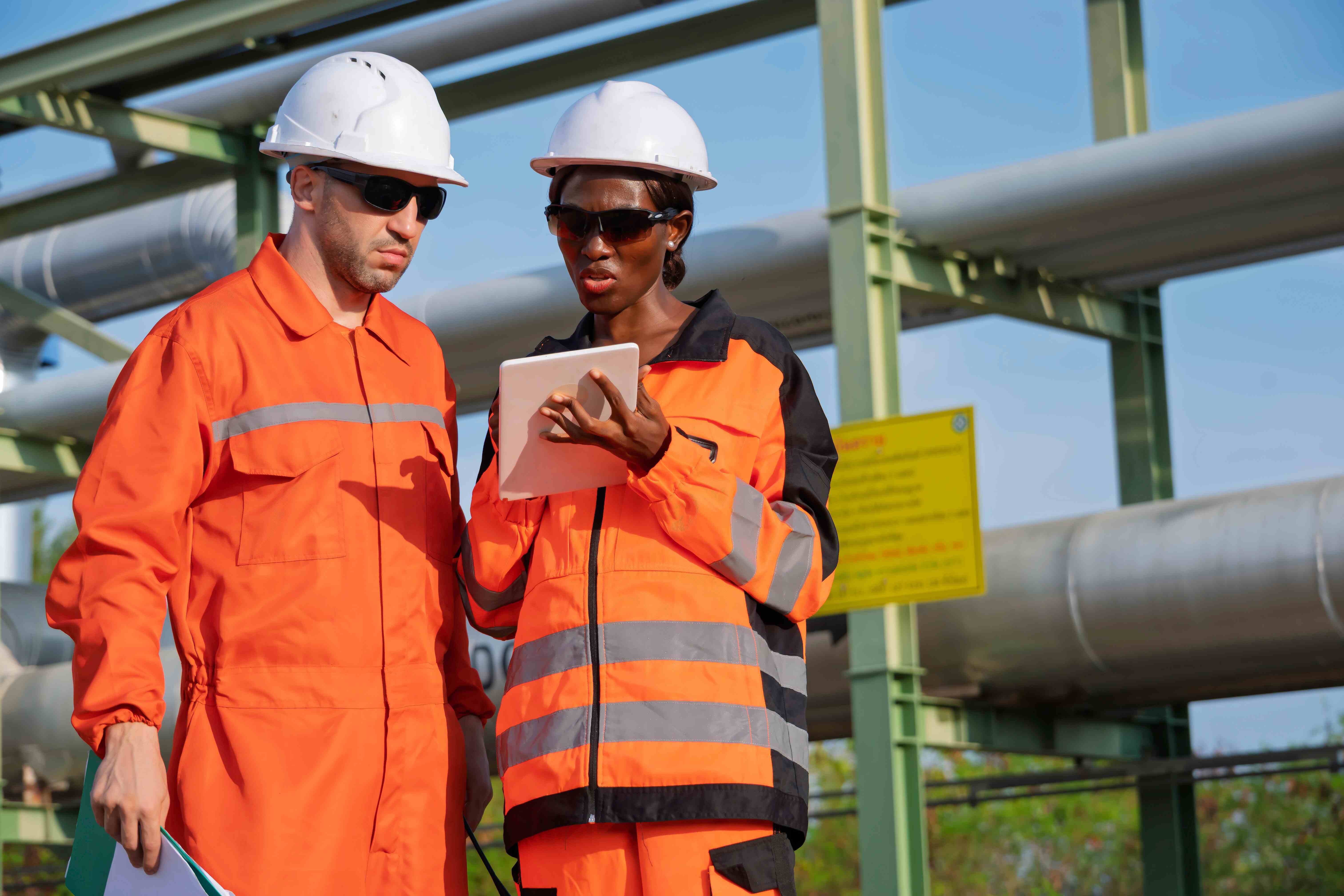 Field workers reviewing an iPad screen