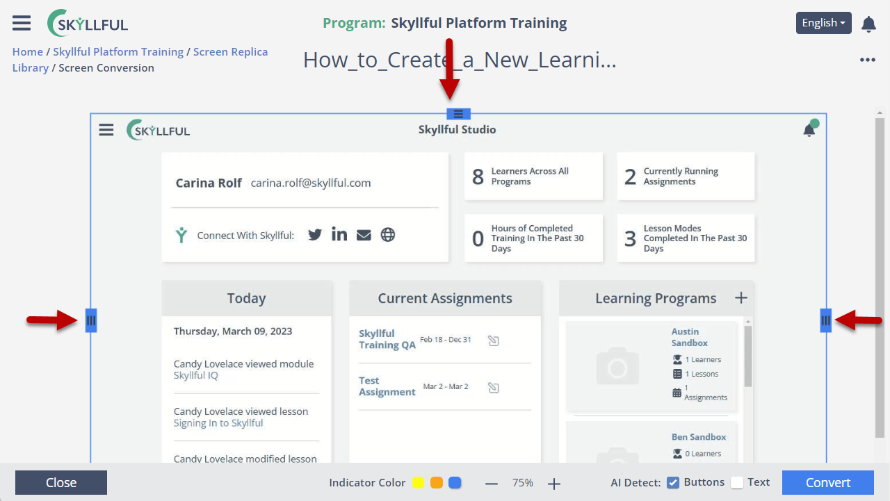 Screenshot cropping controls in Skyllful Studio.